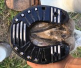 70905724_459105474696348_912239560337915904_n