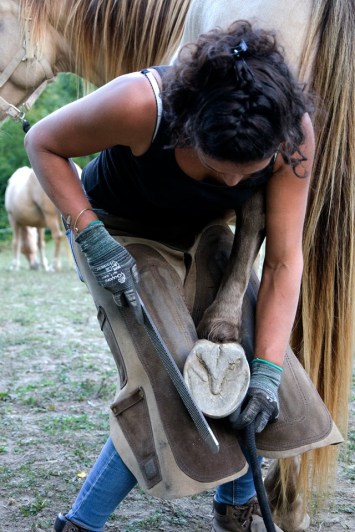 71311704_2698089996908743_1783232866105163776_n